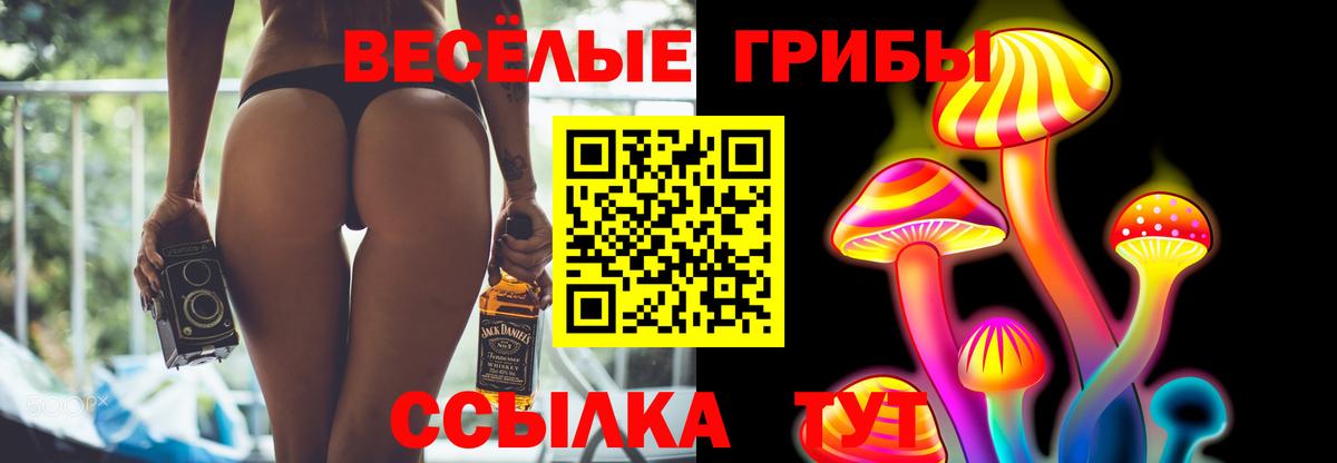 Псилоцибиновые грибы прущие грибы Тобольск